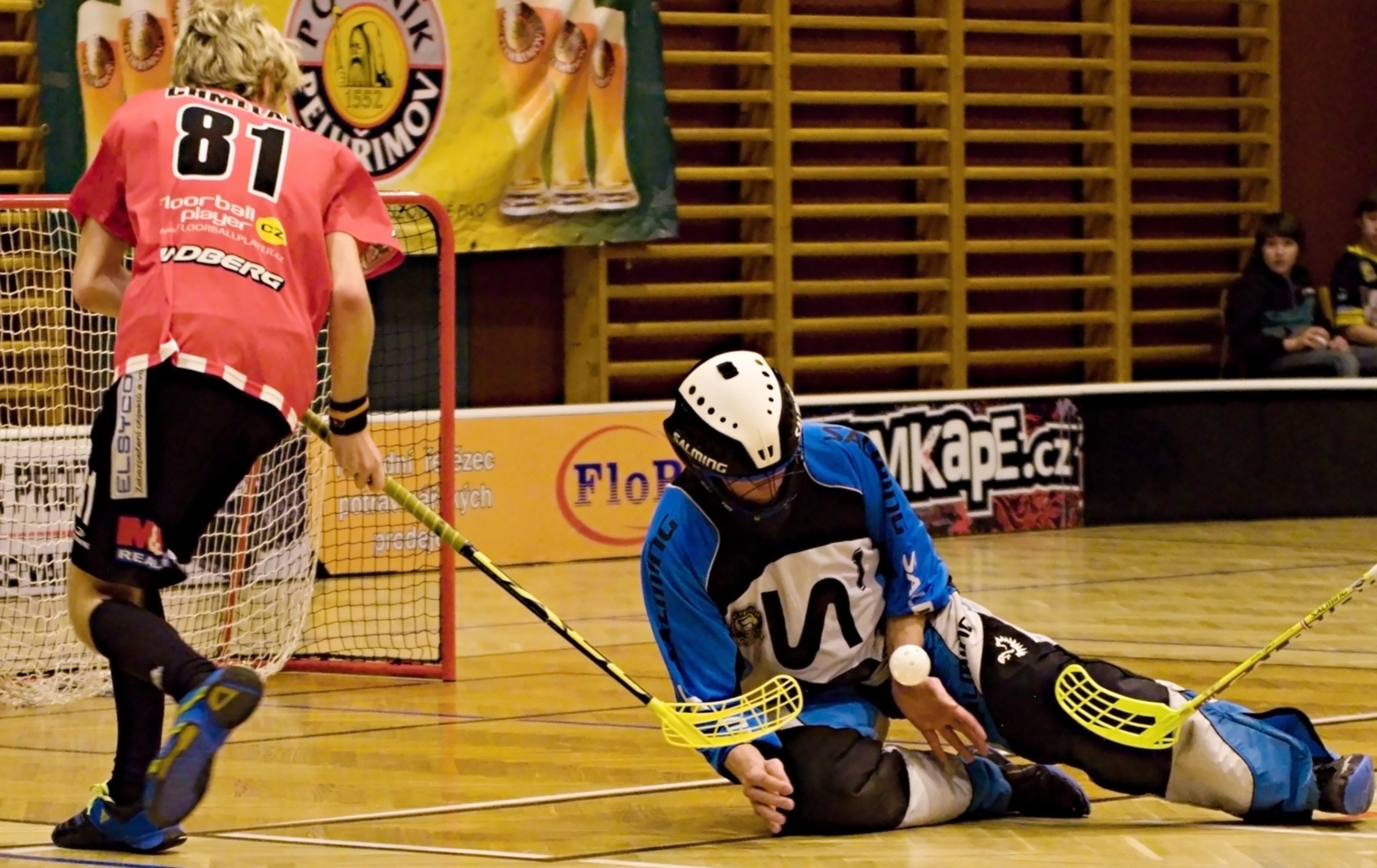 Pe.A   PArdubice 16.2.2013 (32)